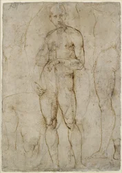 Verso: Nude Study for a St Paul, WA1846.163